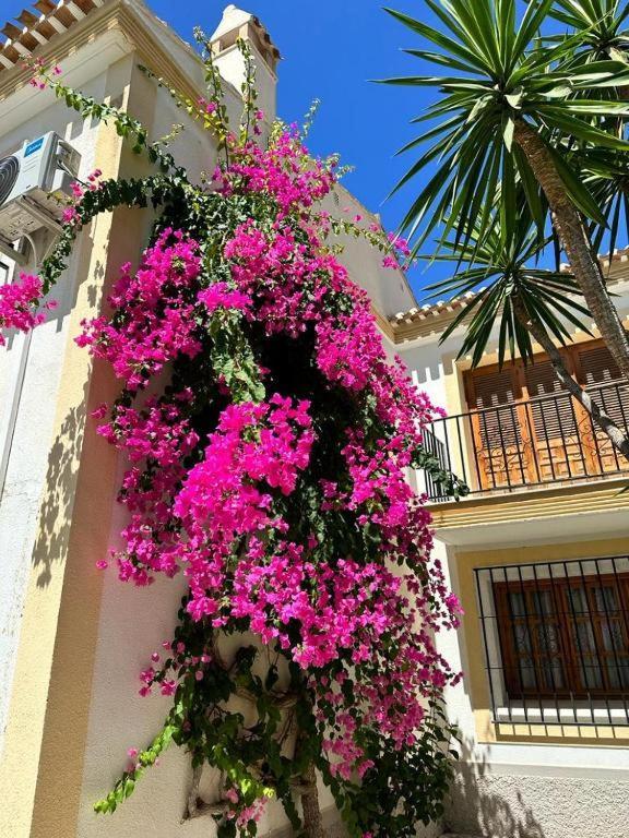 Precioso, Luminoso Y Maravilloso Con Piscina Junto Al Mar Y La Playa En Apartment