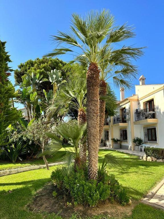 Precioso, Luminoso Y Maravilloso Con Piscina Junto Al Mar Y La Playa En Apartment